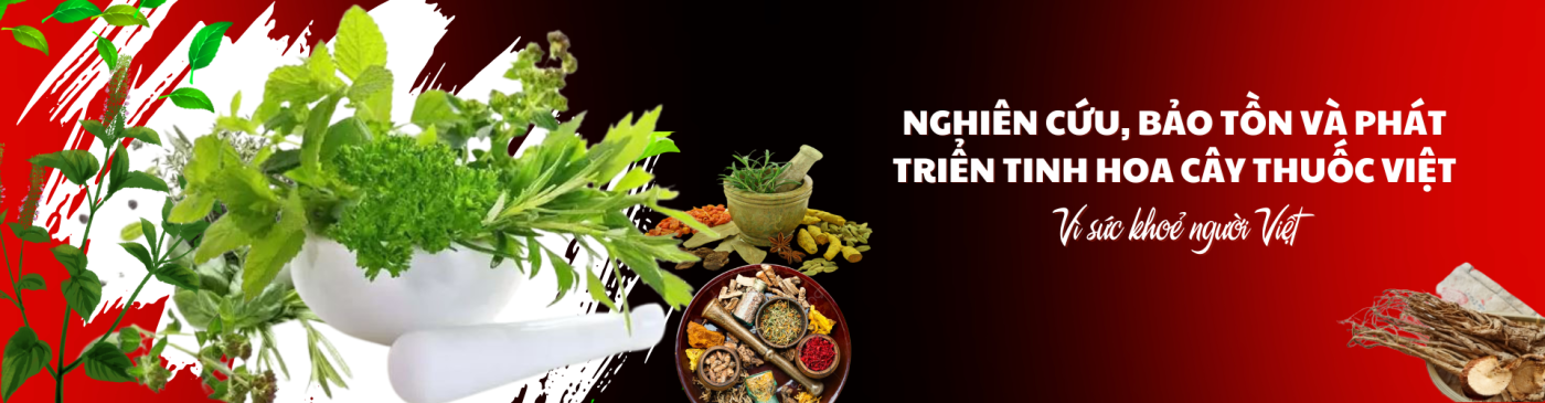 Giá trị của dược liệu sạch trong điều trị và chăm sóc sức khỏe nhân dân (2)